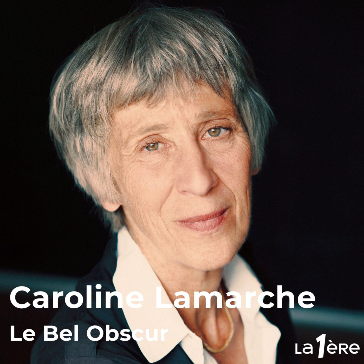 Caroline Lamarche et "Le Bel Obscur" : Un roman, deux récits, celui d’une femme en couple avec un mari homosexuel et celui d’un ancêtre banni de sa famille