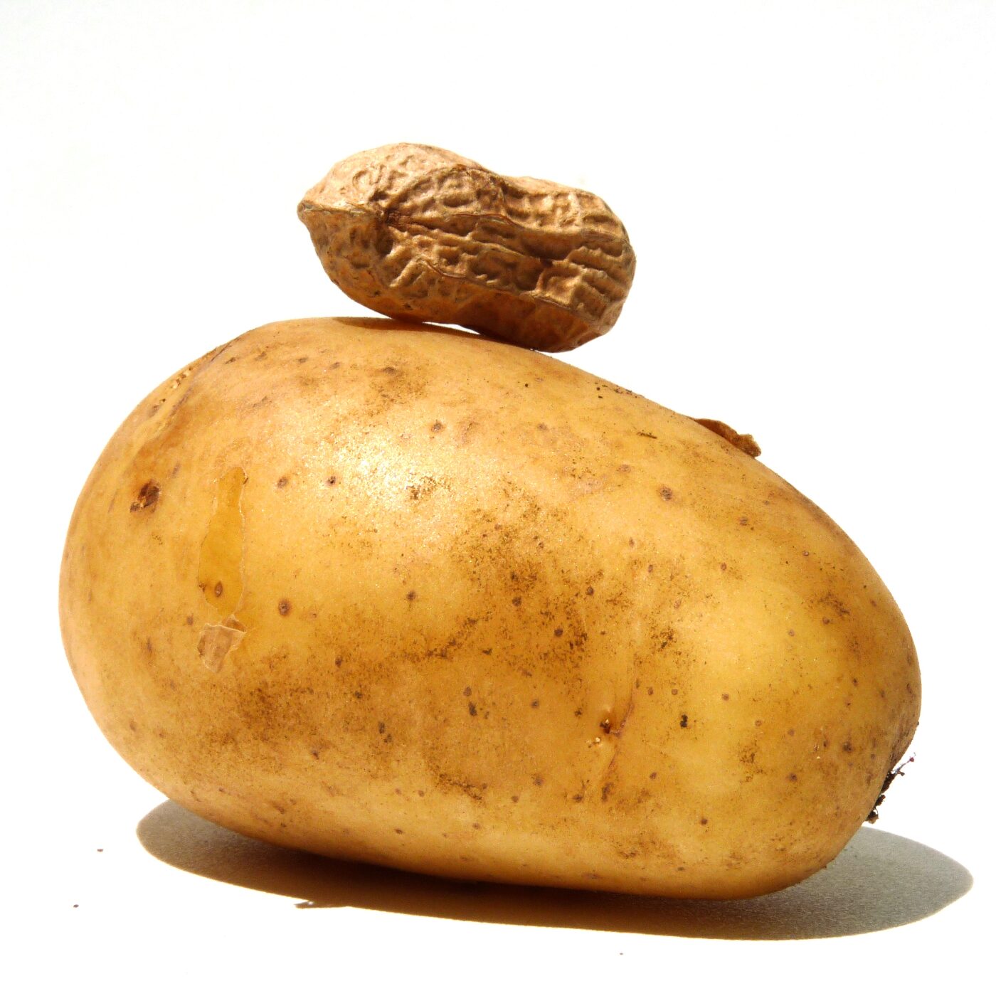 Sabine - pomme de terre frite rougail pistache Sabine - pomme de terre frite rougail pistache