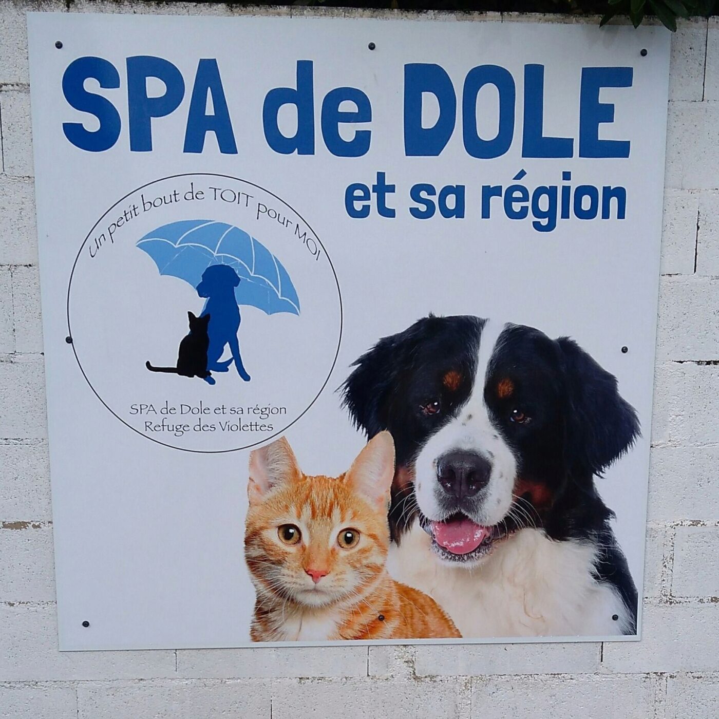 Le refuge SPA de Dole et sa région saturé episode artwork