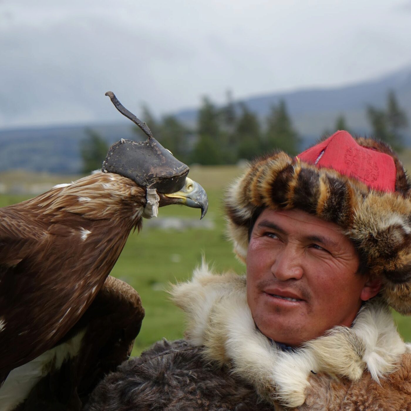 Des lynx et des aigles, avec Agathe Portail et Agnès Ledig episode artwork