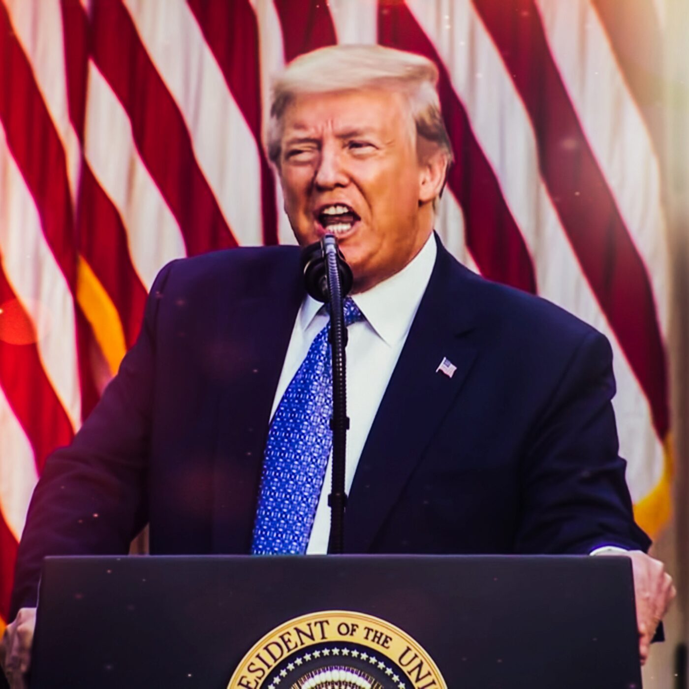 Elections américaines : "Tout le monde se trumpise", assure Anne Toulouse