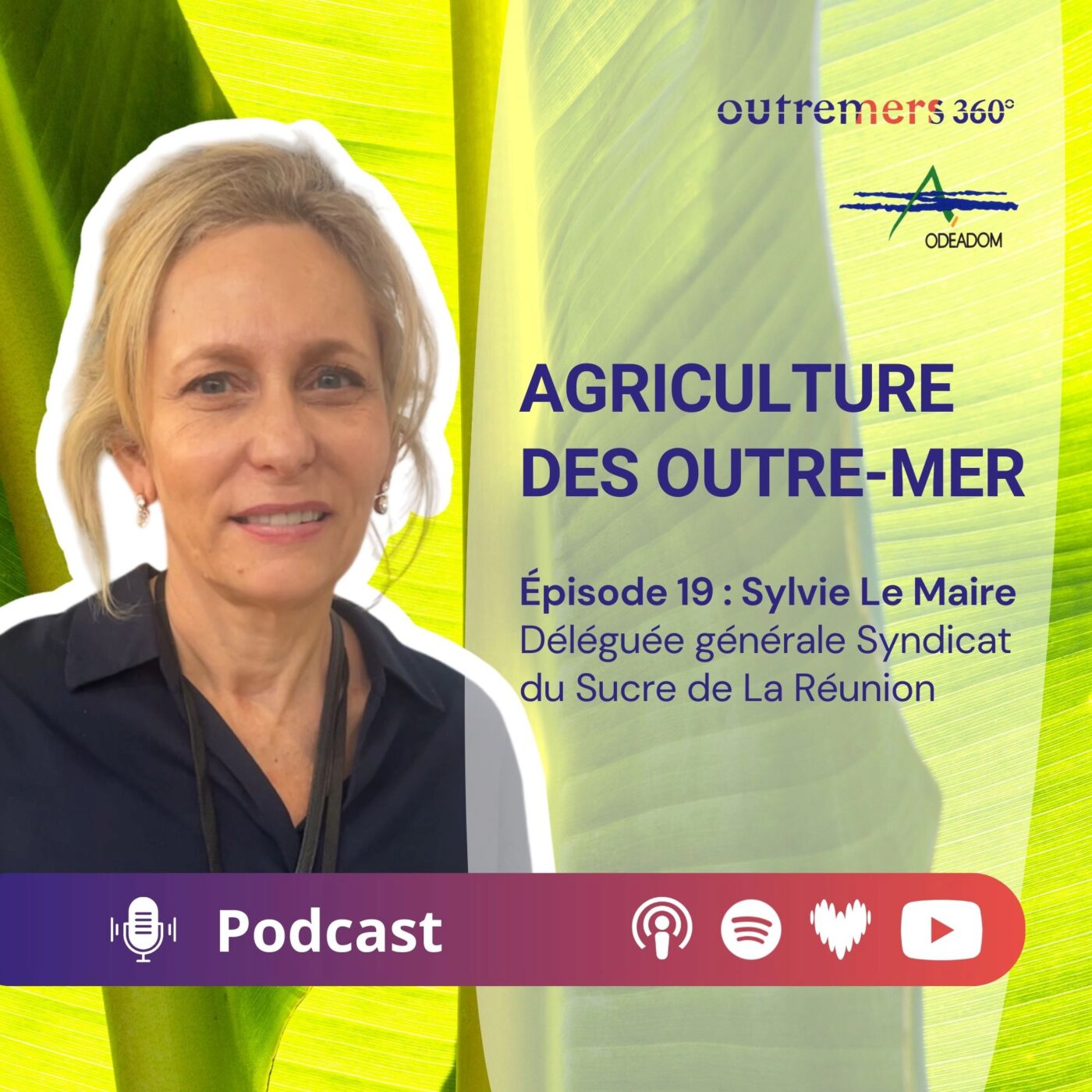 Agriculture des Outre-mer