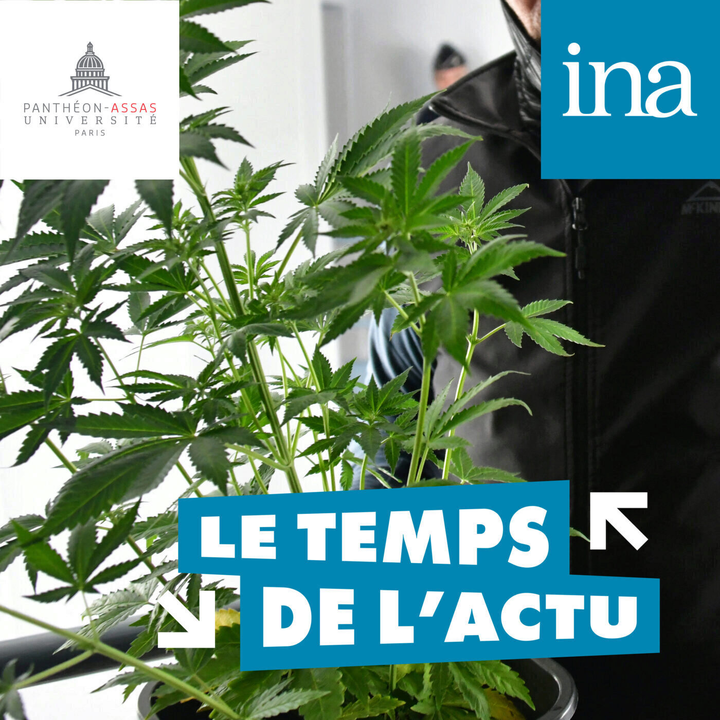 Le temps de l\'actu