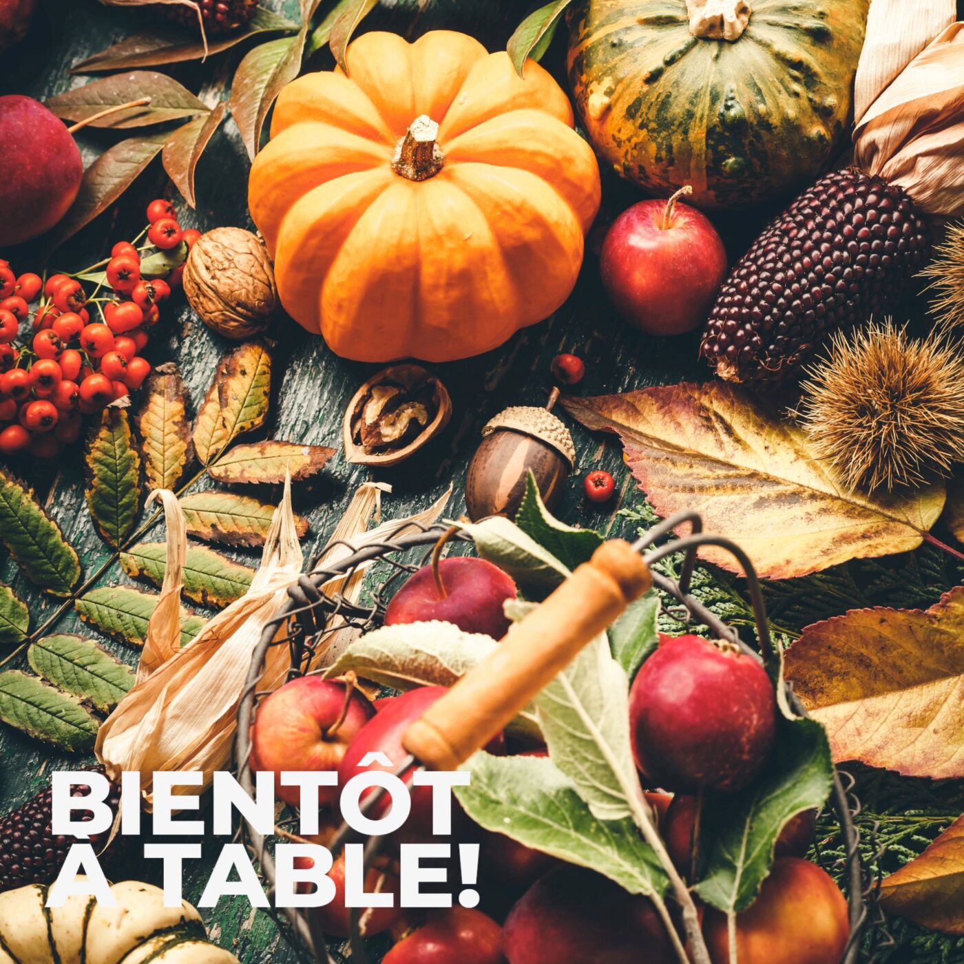 La cuisine de l'automne