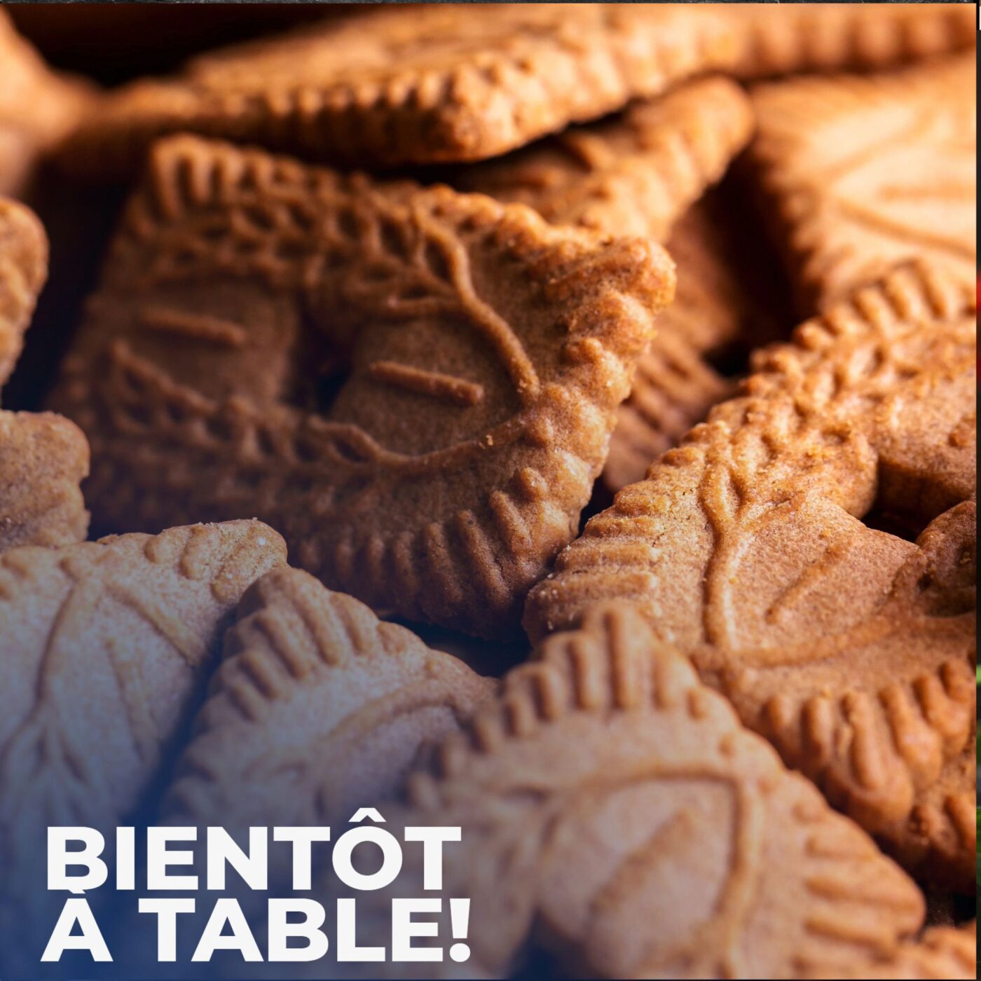 Speculoos, panettone, stollen dévorons l'hiver Speculoos, panettone, stollen dévorons l'hiver