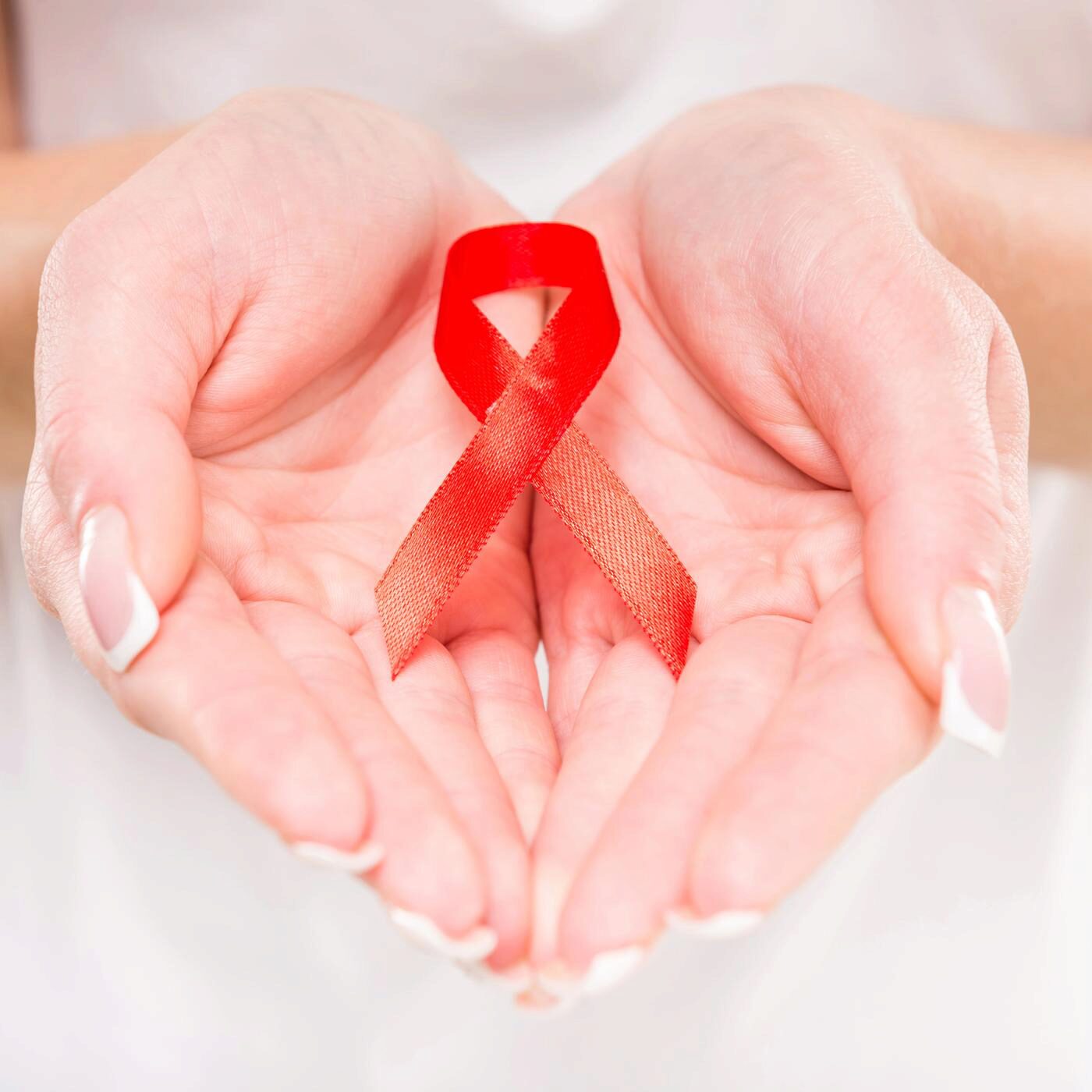 Sida, ancêtres carnivores et Agora "Toxic"