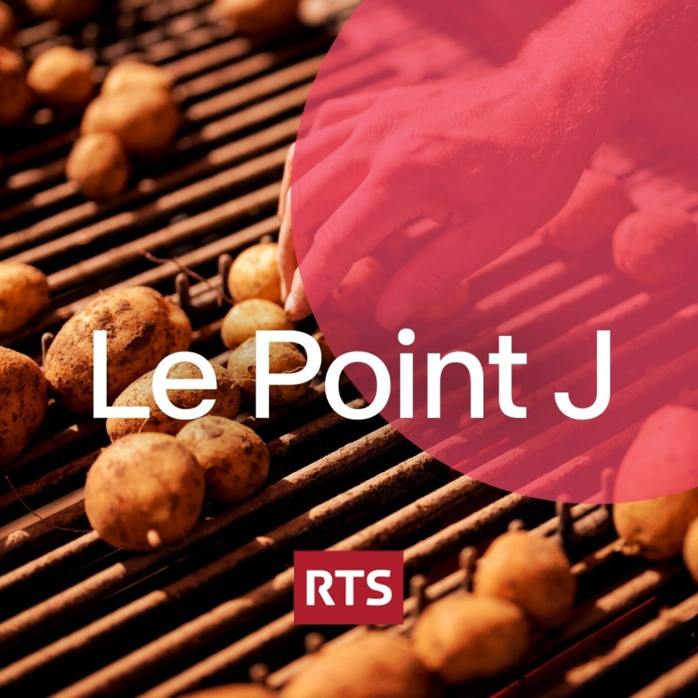 Que produit exactement l'agriculture suisse ?
