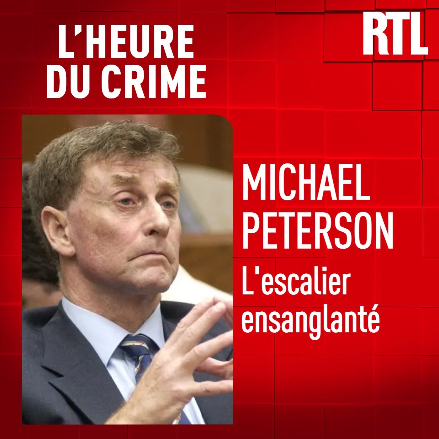 L'INT&Eacute;GRALE - Michael Peterson : l'escalier ensanglant&eacute;