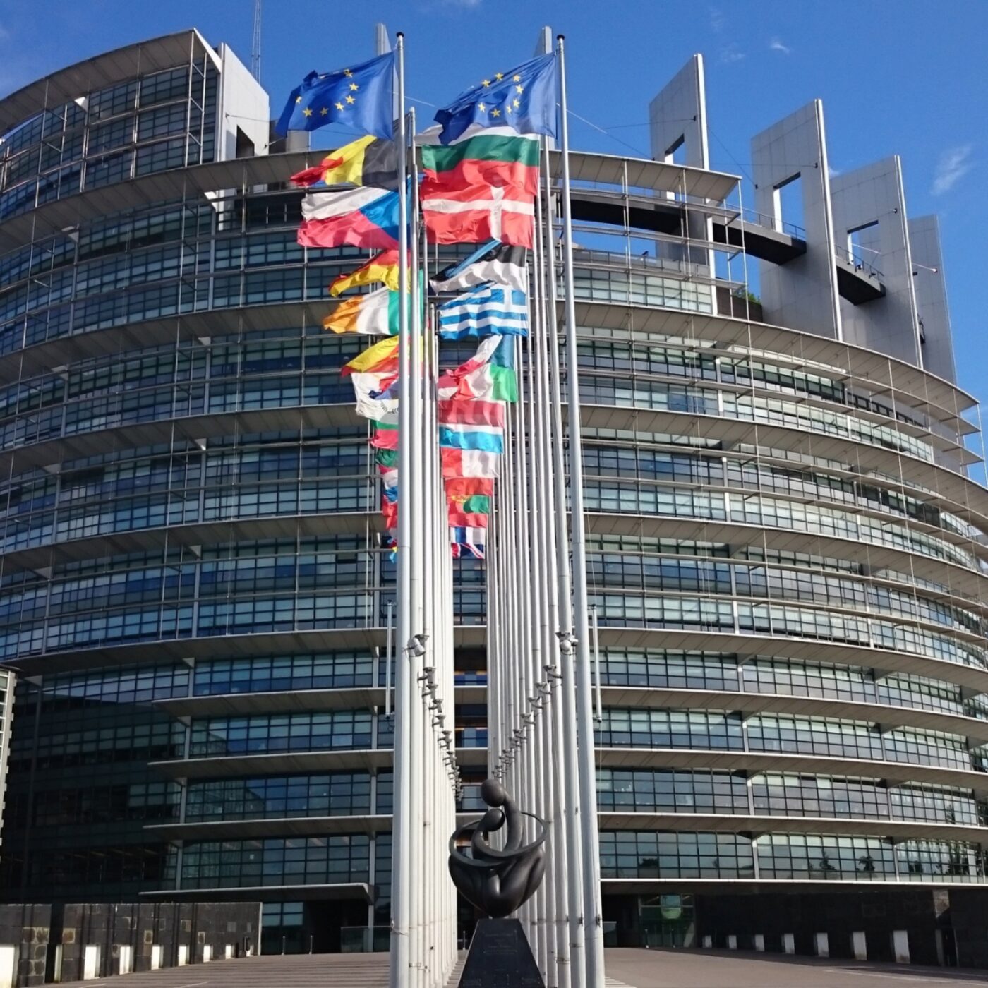 Le Parlement Européen se mobilise contre la déforestation episode artwork