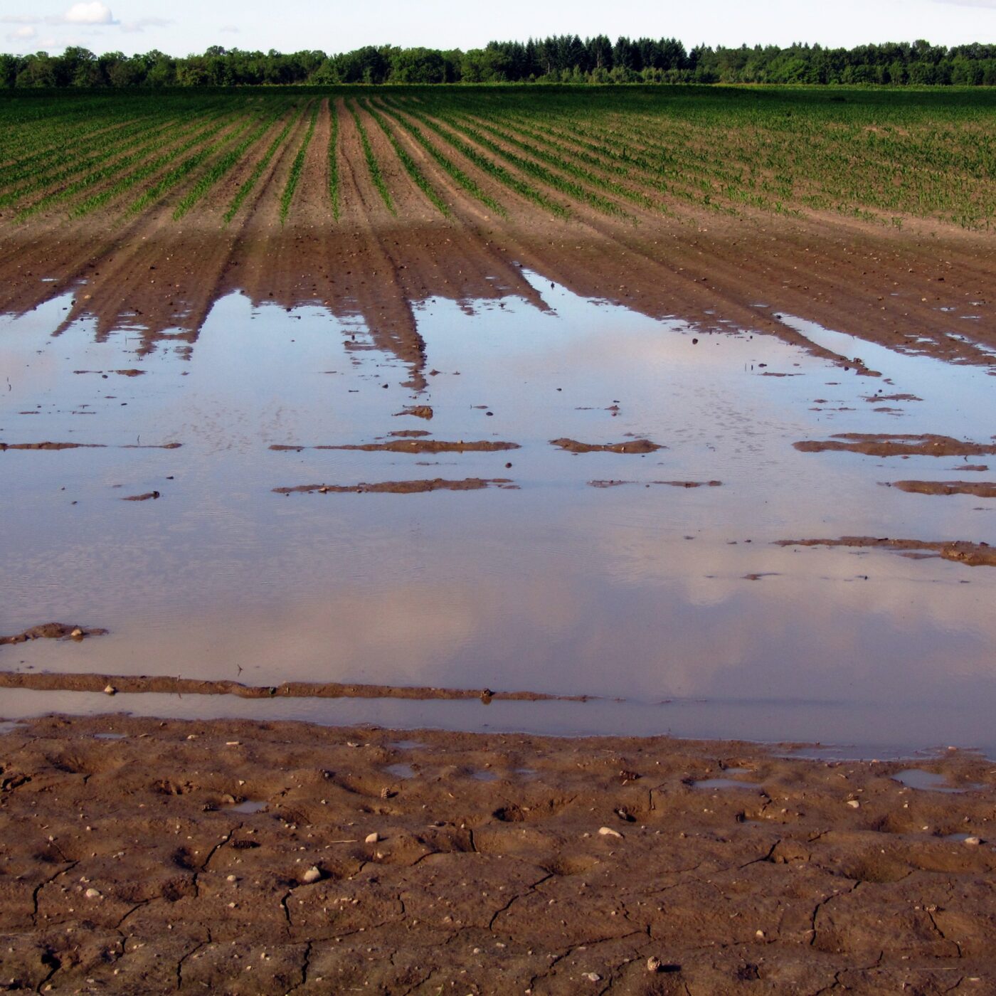L\'Hebdo région des pays de la Loire