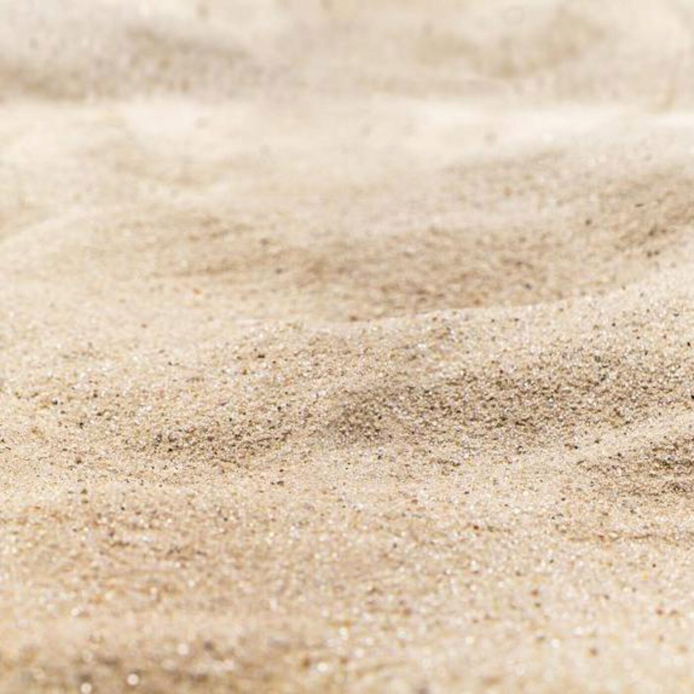 Du sable, la maladie de Parkinson et la séduction animale