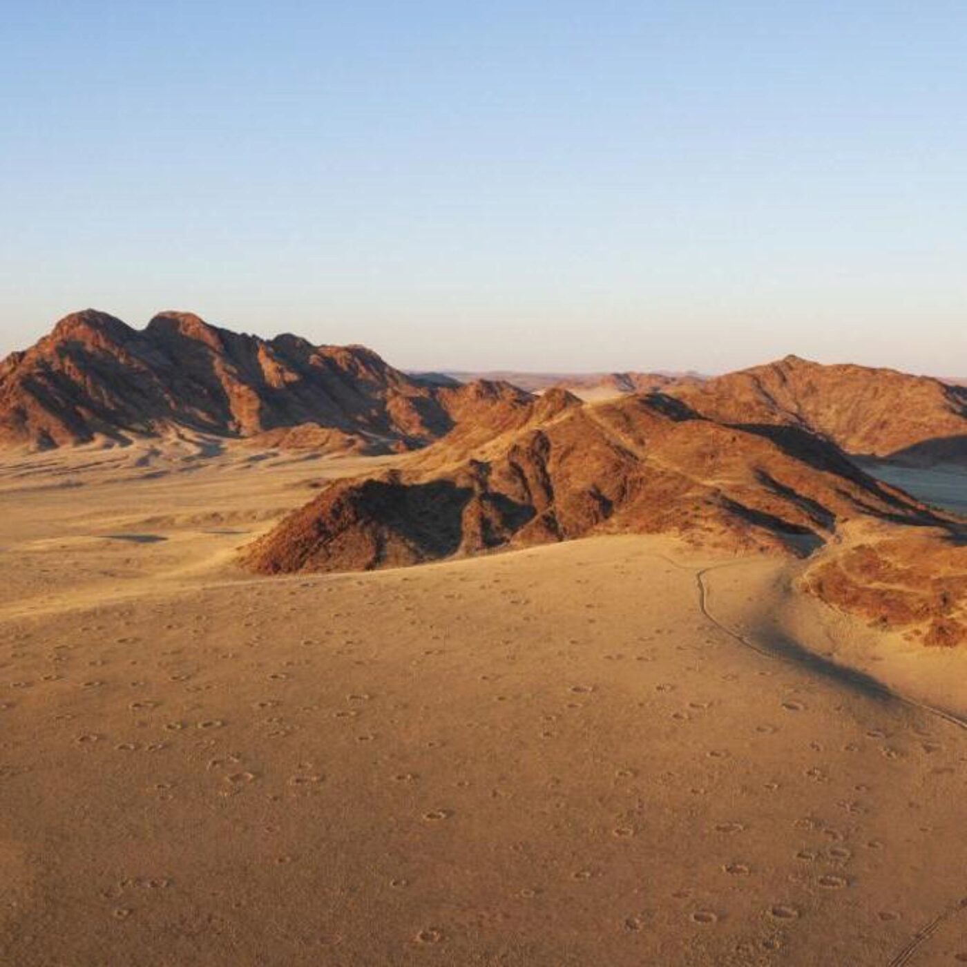 Les cercles de fées, des arbres tropicaux et plein de couleurs
