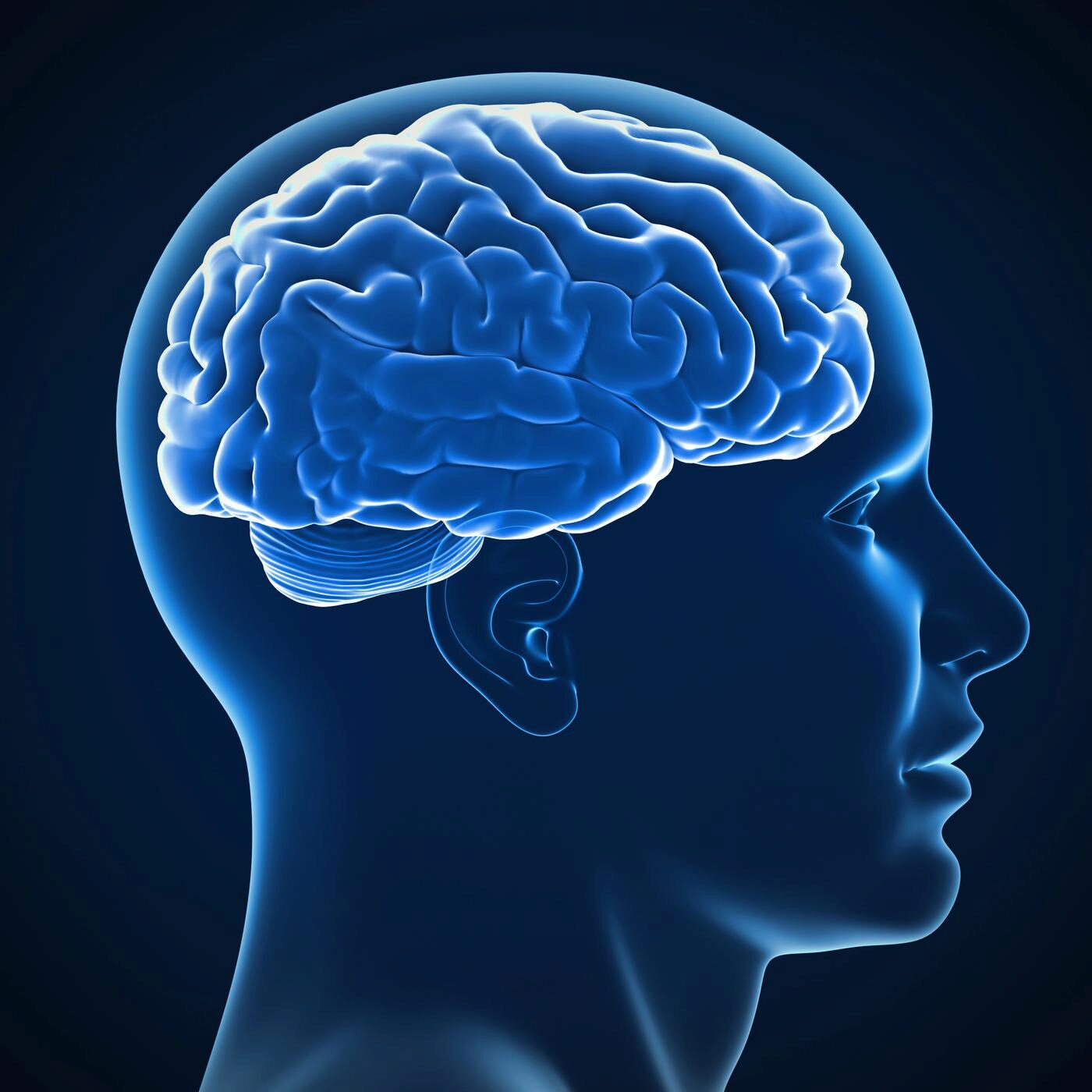 Cerveau, magie et "l'Effet Papillon"