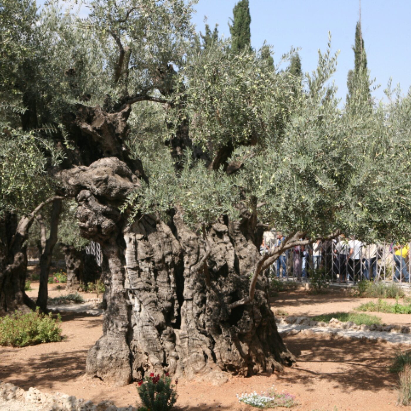 Histoires de Patrimoine