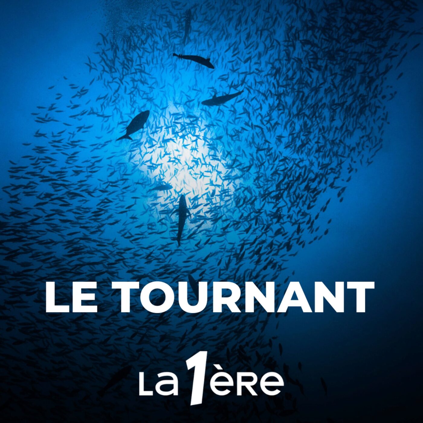 Comment sauver les océans?