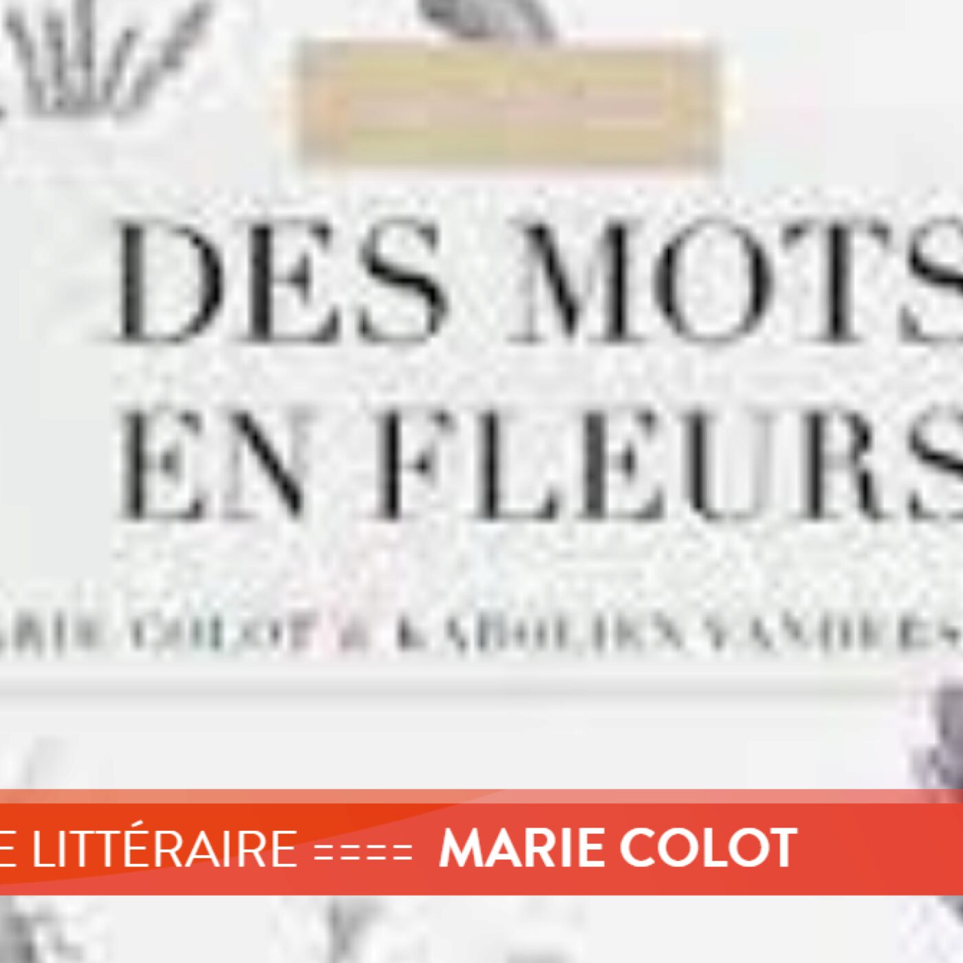 Magazine littéraire