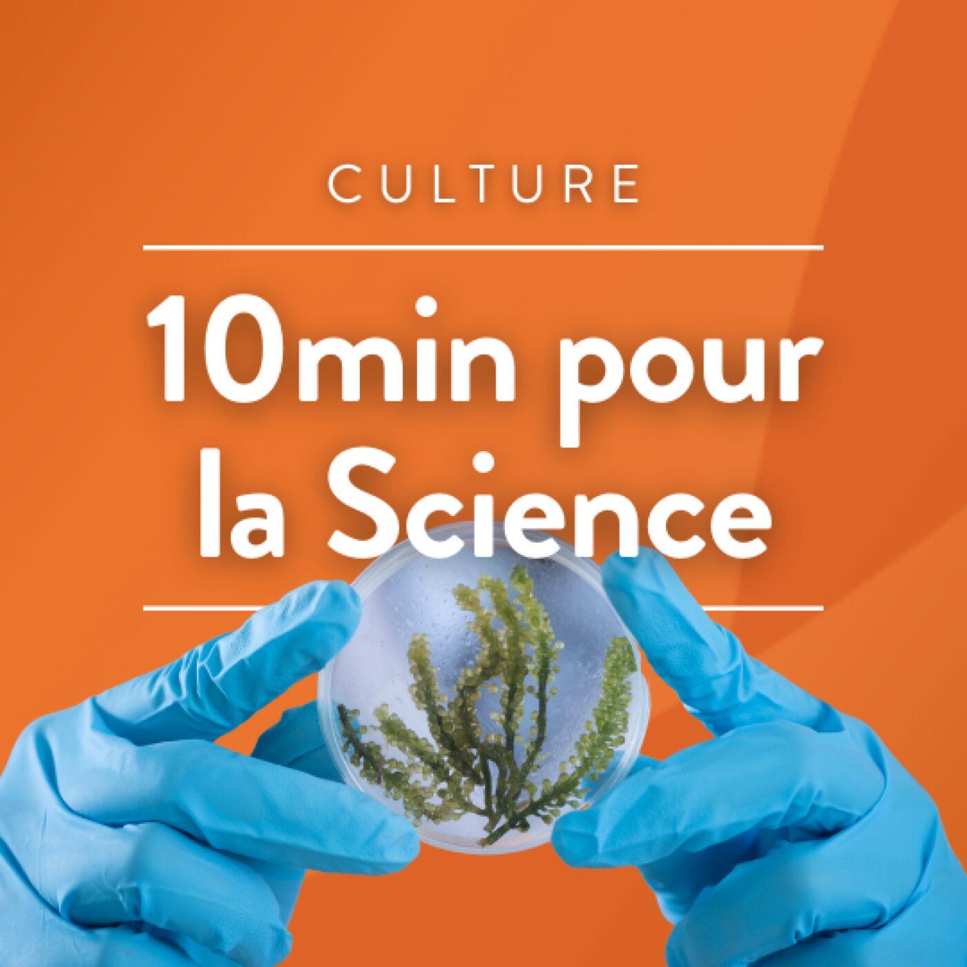 Les saisons episode artwork