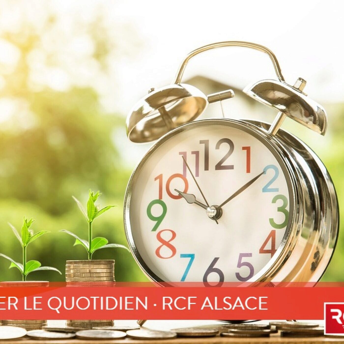 Polychrome, pour démêler le quotidien