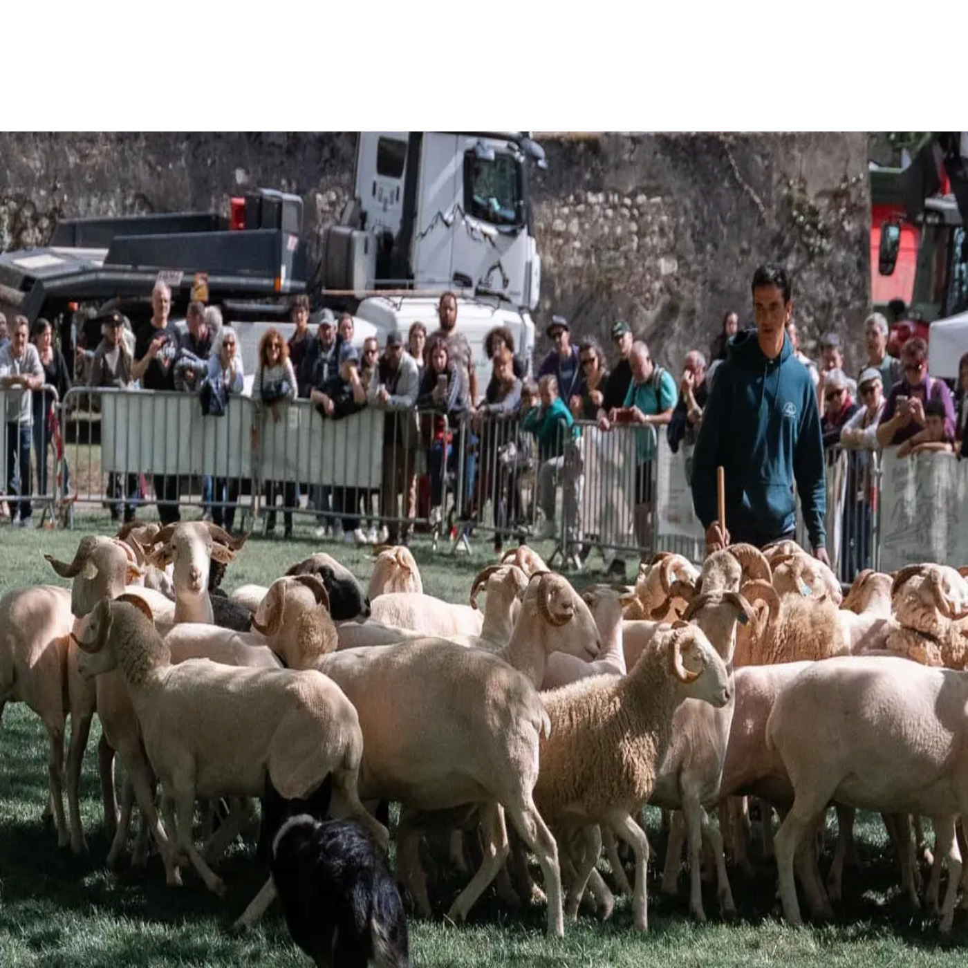 episode cover Tarascon-sur-Ariège : bientôt le coup d’envoi de la 767ème Foire de printemps