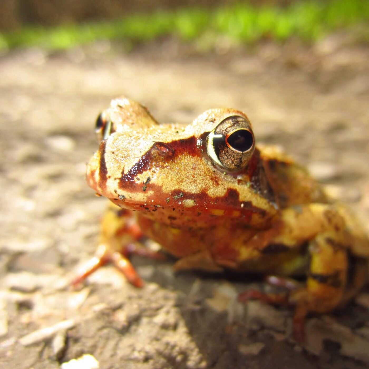 B0efef68 5b88 45f7 b2e5 1f1dd6422172