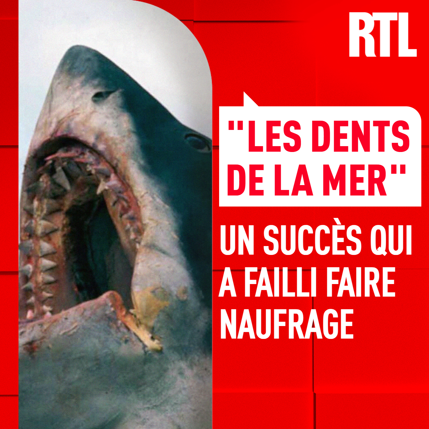 L'INTÉGRALE - "Les Dents de la mer", quand le tournage a frôlé la catastrophe