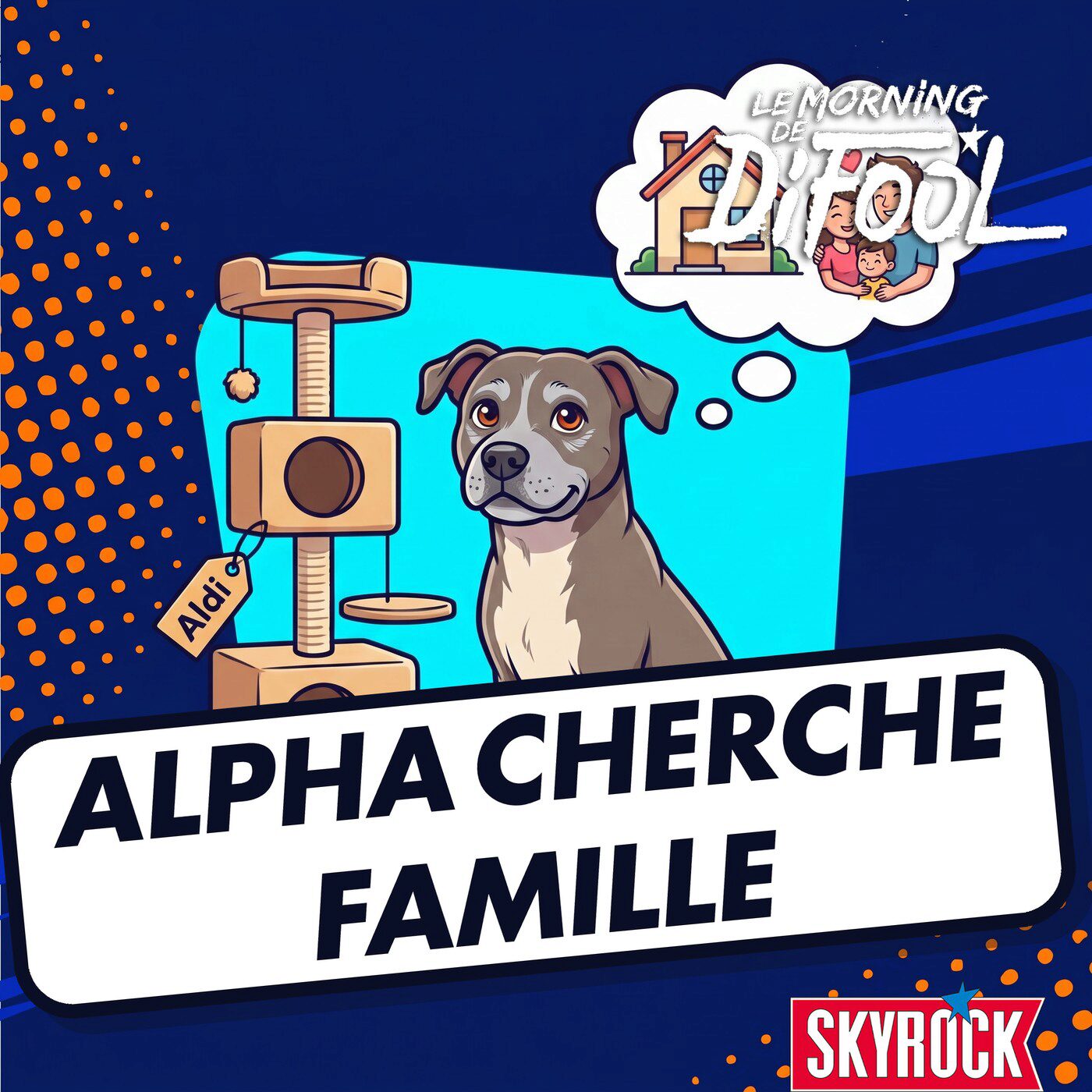 Adoptez un animal : Alpha, croisé staff de 9 ans, cherche une famille à Lens episode artwork