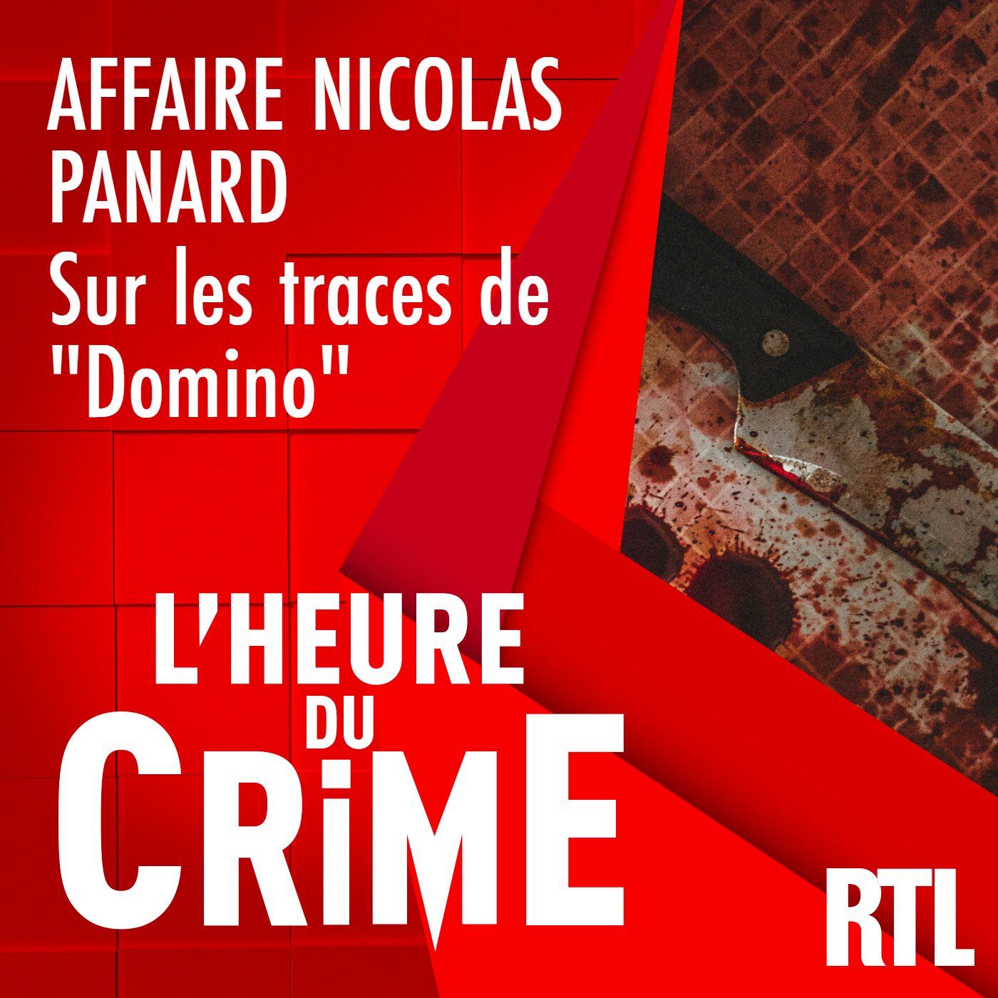 L'INTÉGRALE - Affaire Nicolas Panard : sur les traces de "Domino"
