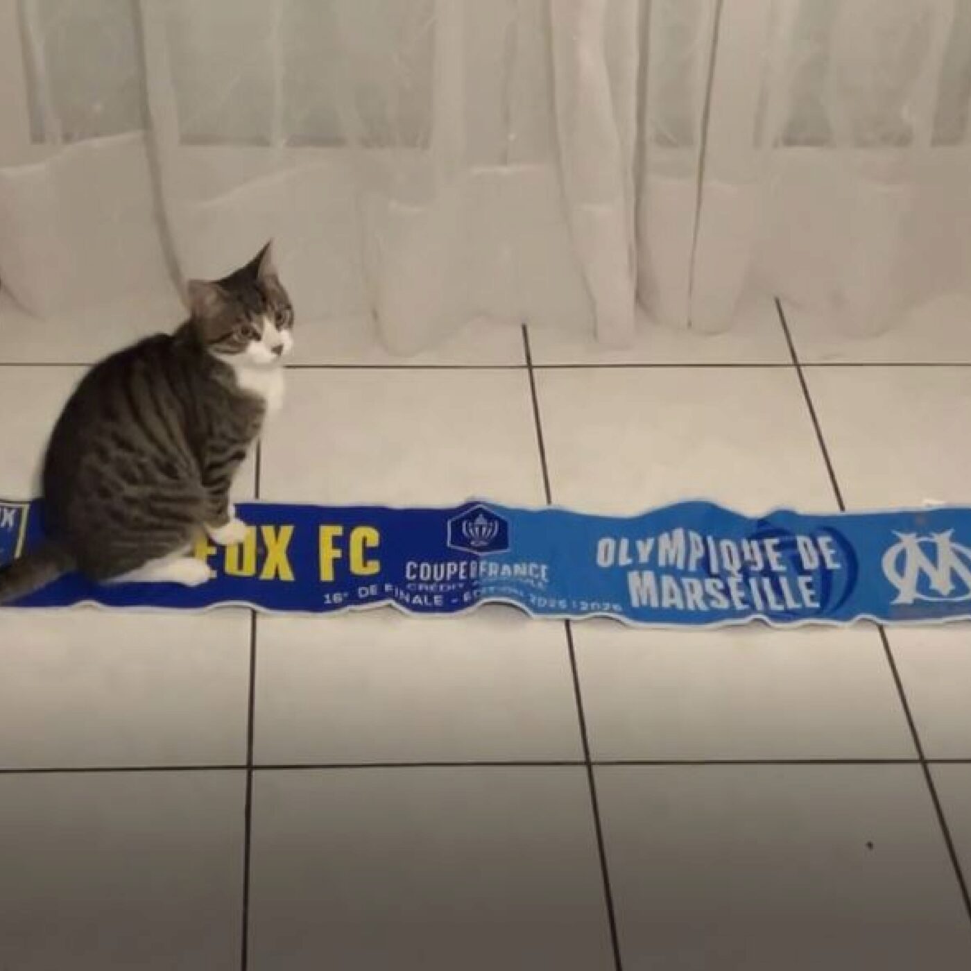 Baptiste en cm2 suite