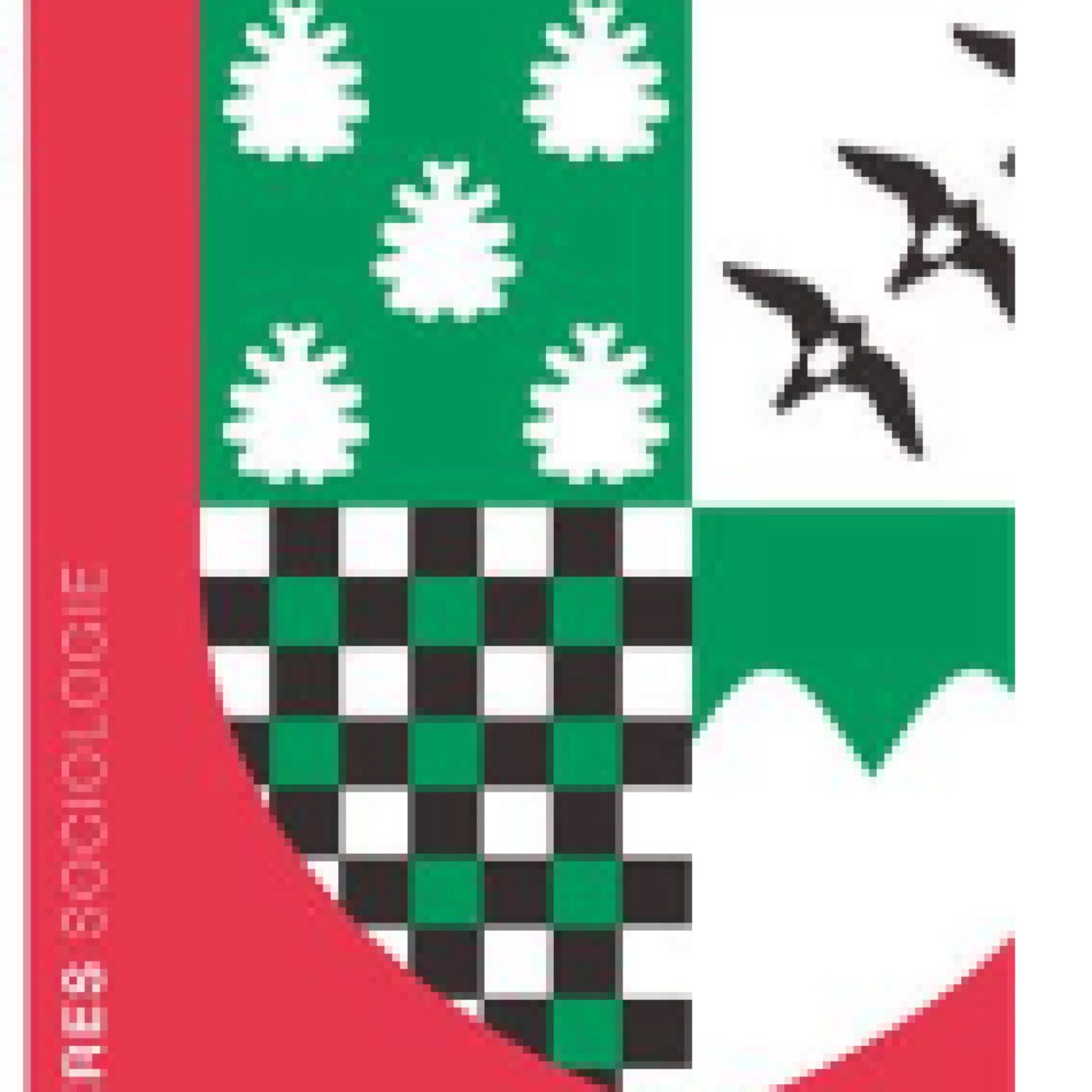 Sociologie de Saint-Etienne 3/3 episode artwork