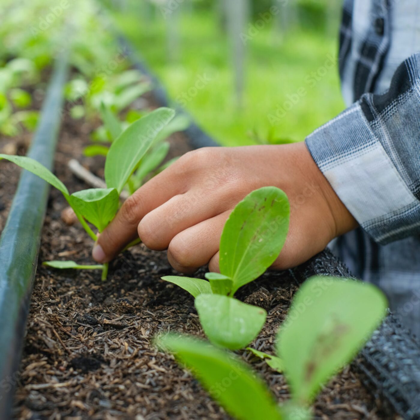 Ceder et reprendre un défis pour l'agriculture et les agriculteurs