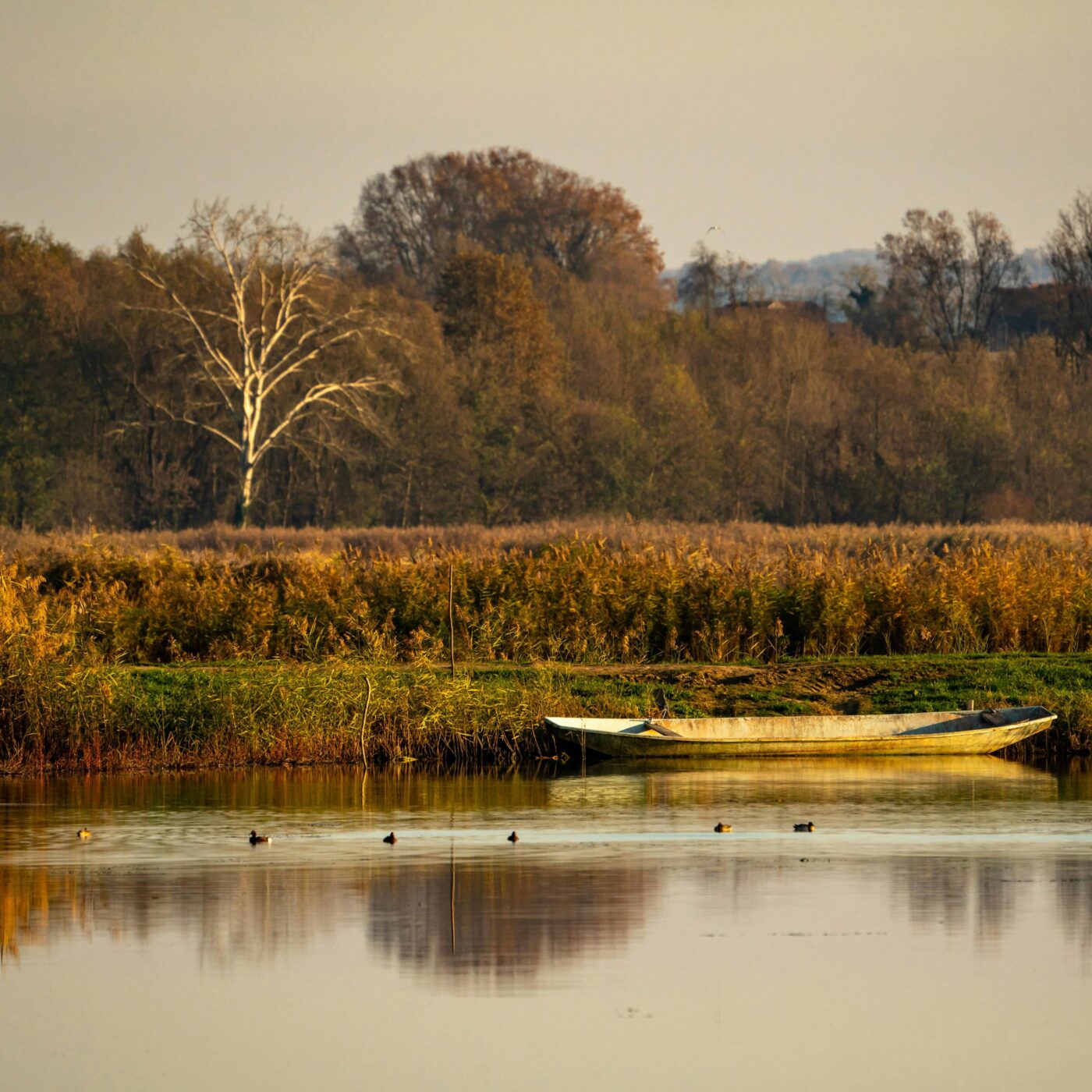 La vie en nous 5/5 Etre en silence