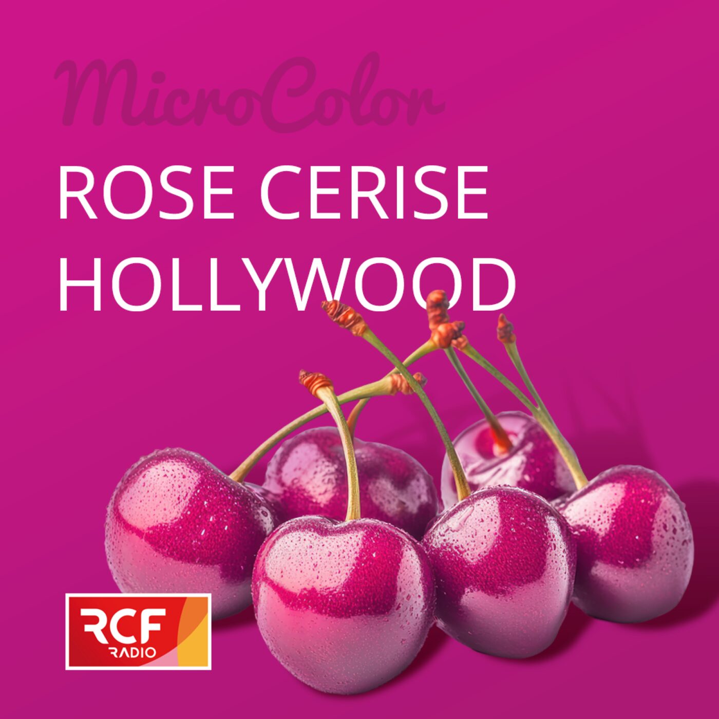 Rose cerise Hollywood episode artwork