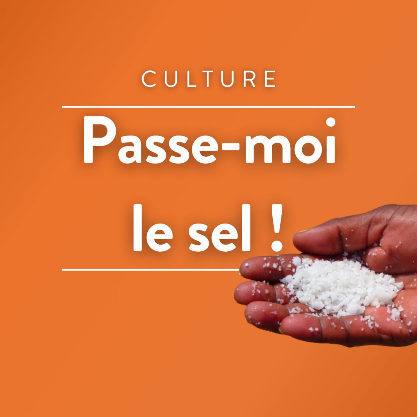 Passe-moi le sel !