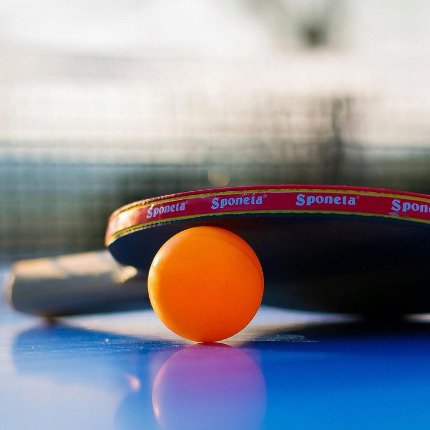 Tennis de table. Pourquoi les clubs pro angevins ont du mal cette saison ? episode artwork