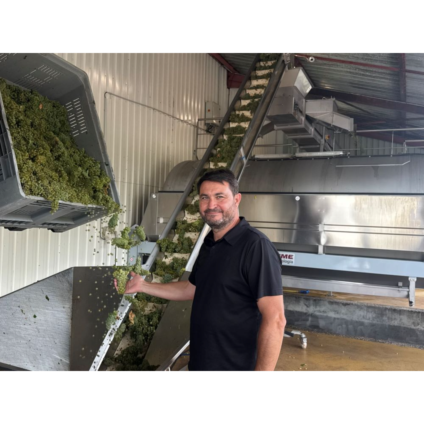 episode cover Près de Limoux, le Domaine J. Laurens lance des vendanges exceptionnellement précoces