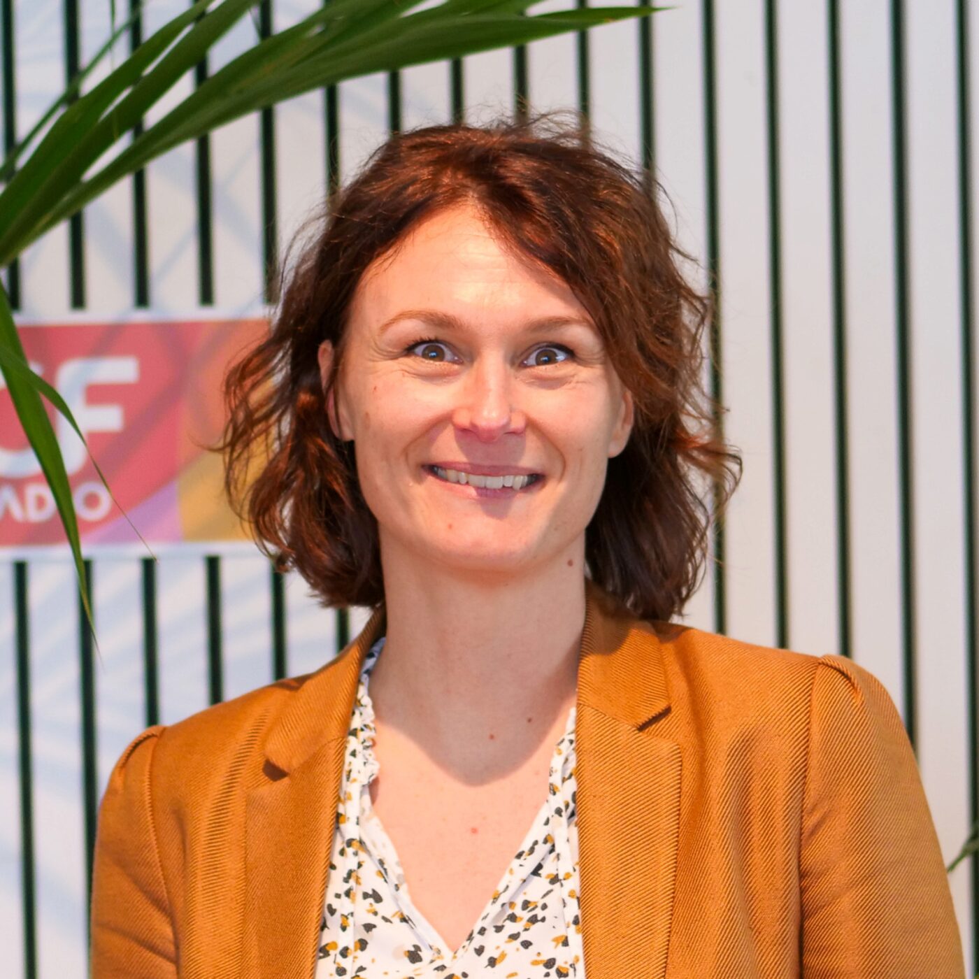 Ain/Rhône éco · RCF Lyon et RCF Pays de l\'Ain