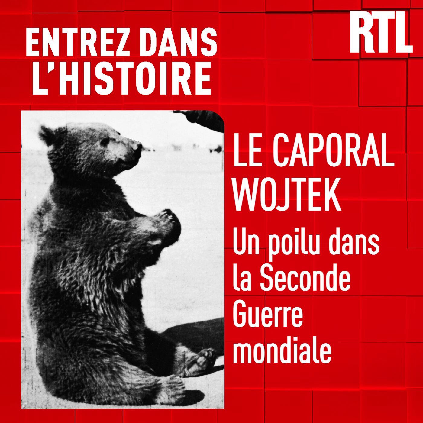 Le caporal Wojtek : un poilu dans la seconde guerre mondiale