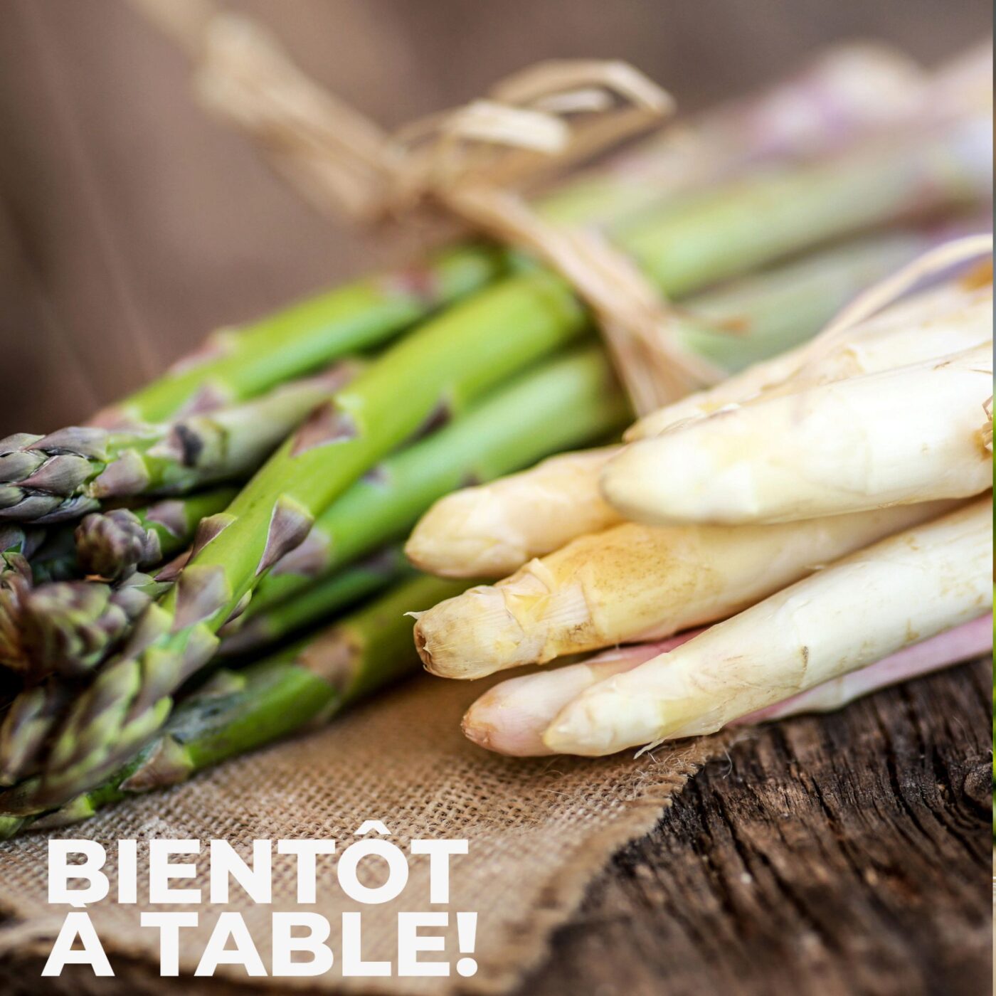 La saison des asperges