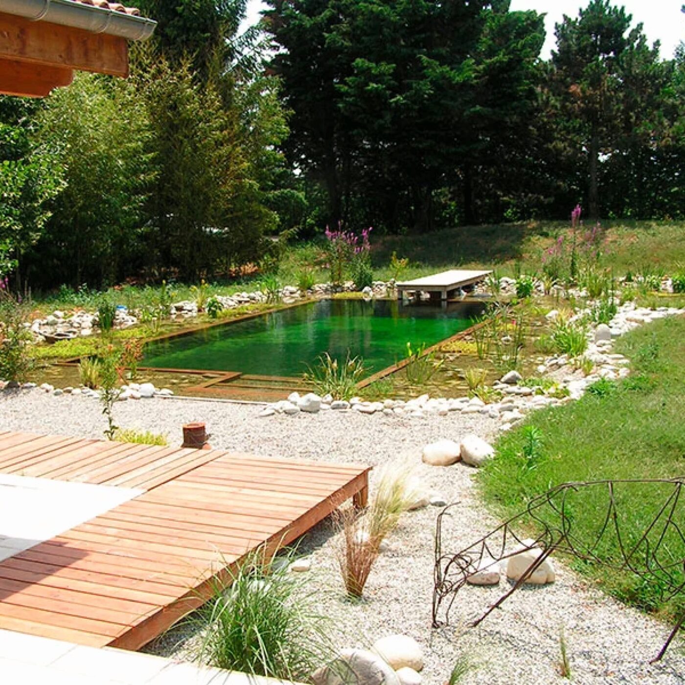 Piscines naturelles : quels intérêts et quelles limites ? episode artwork