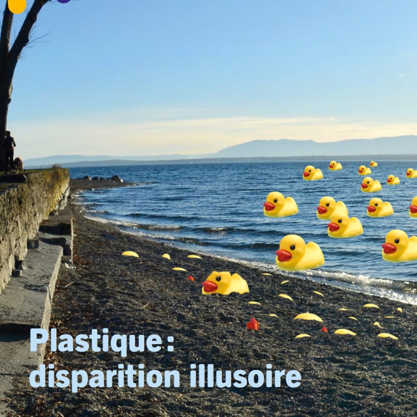 Pollution aux plastiques : une enquête inédite sur le Léman episode artwork