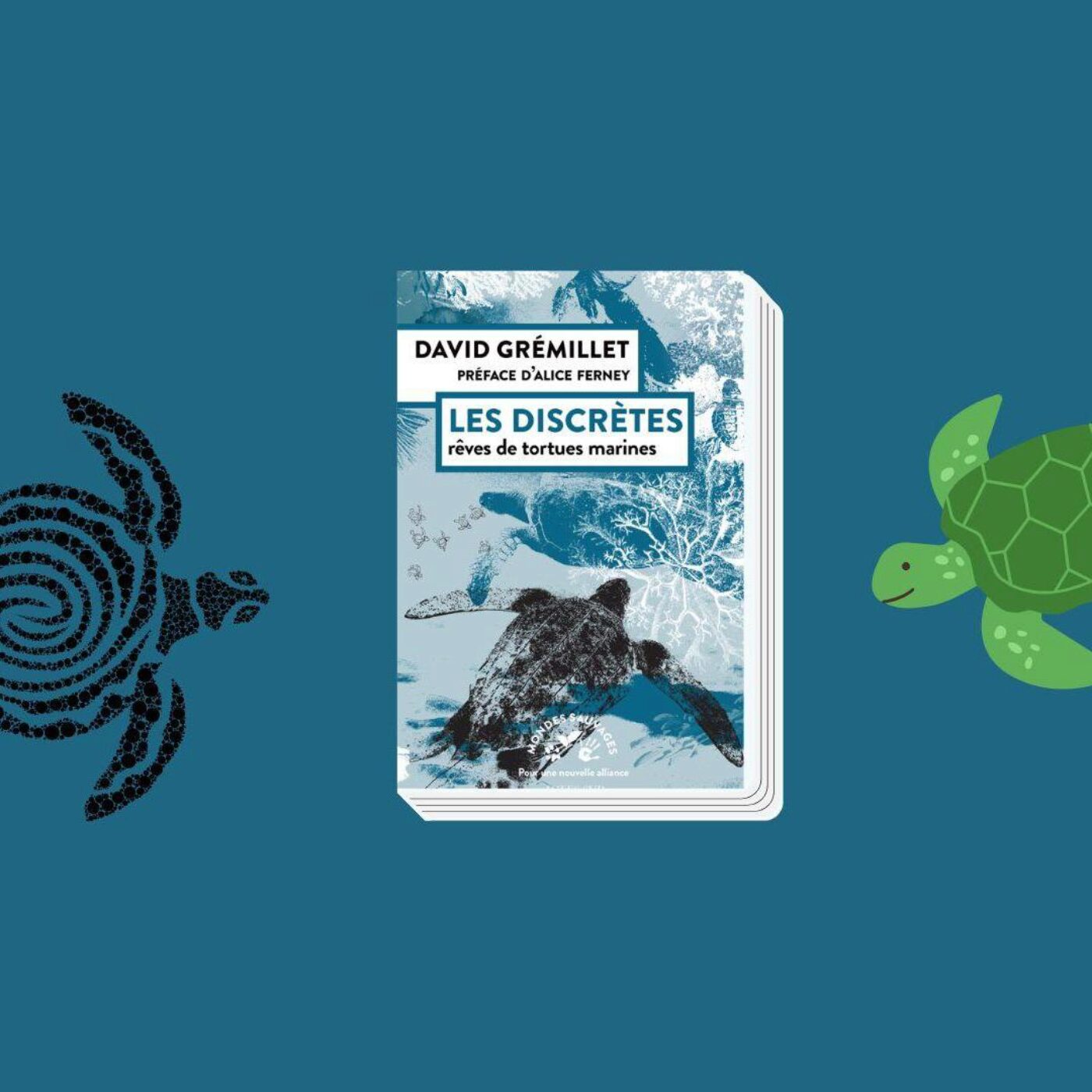 Les derniers jours de Voltaire et Louis XIV, les tortues marines