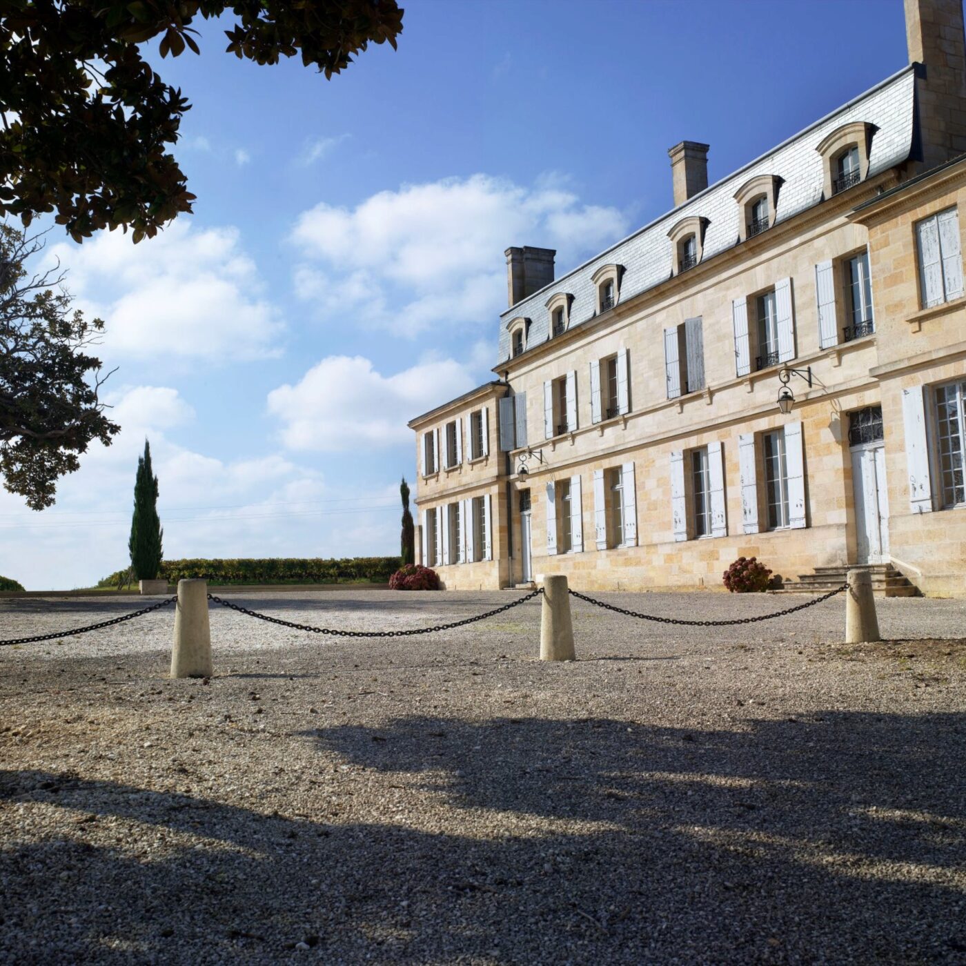 Des hommes et du vin