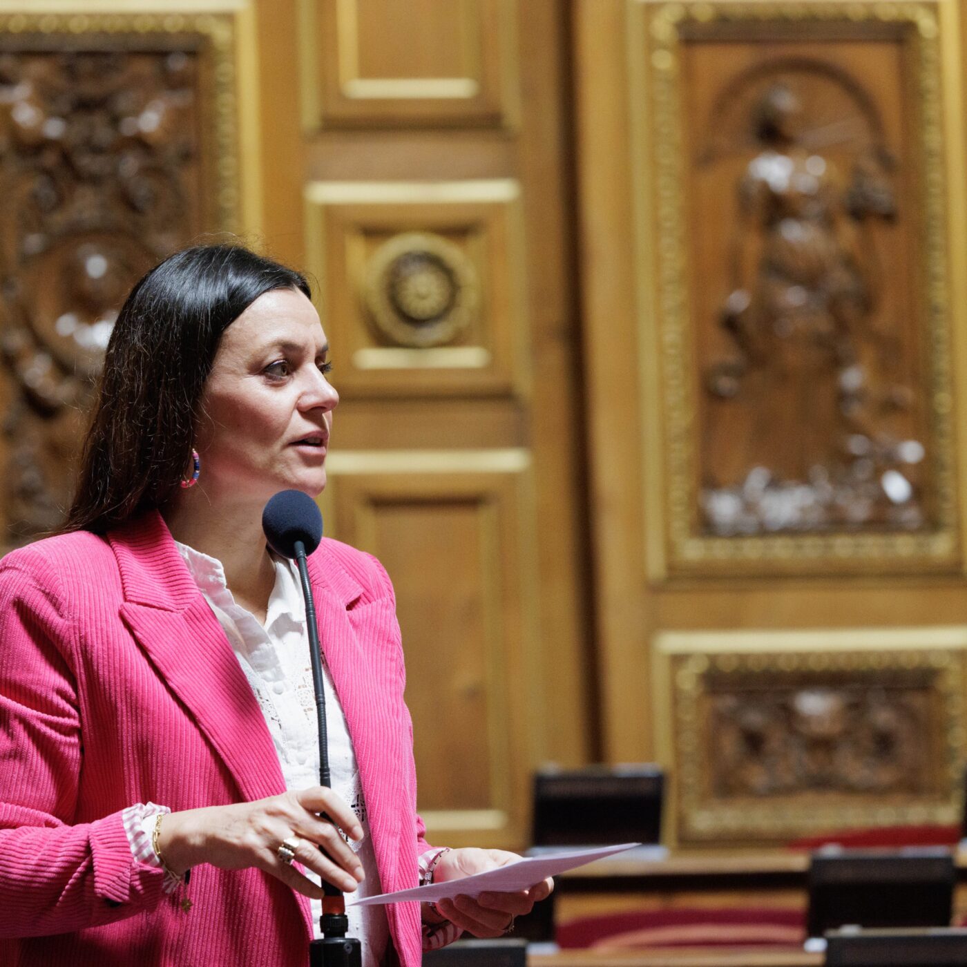 Vote solennel du Sénat : Marion Canalès, sénatrice socialiste du Puy-de-Dôme, défend le développement des soins palliatifs et le droit à mourir avec "un choix strictement encadré" episode artwork