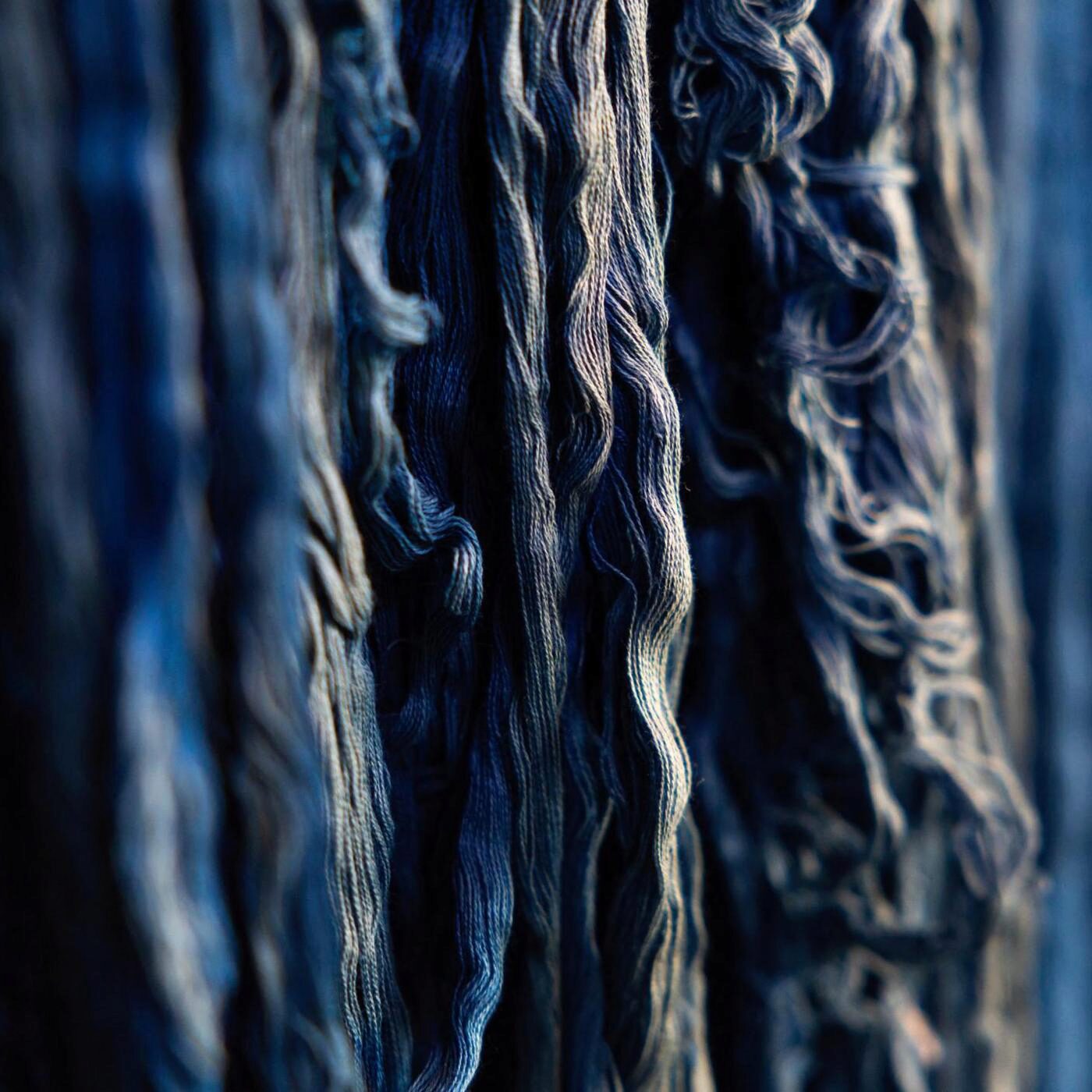 De l'indigo local et des chauves-souris suisses