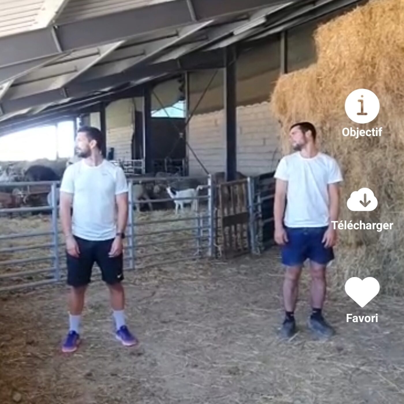 Ergo réveil : un programme pour encourager les agriculteurs à faire du sport episode artwork