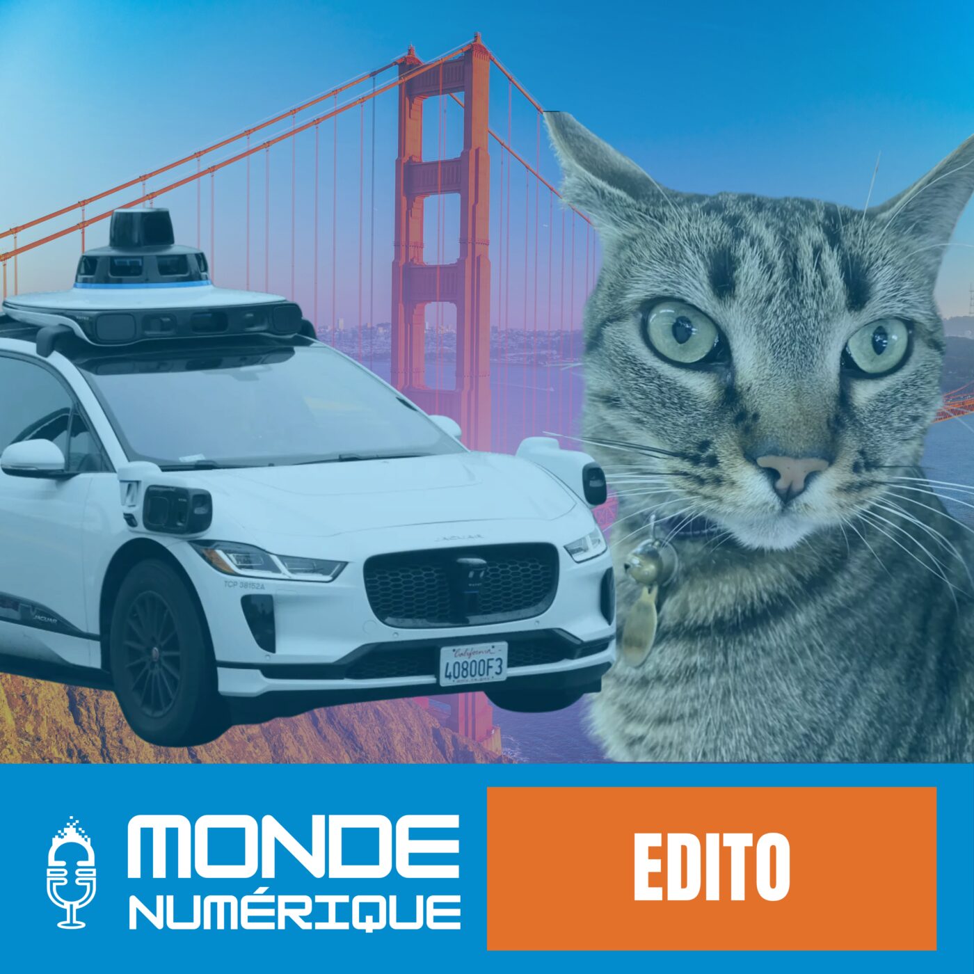 ✍️ Edito – Ce qu'un chat tué par un robotaxi dit de notre rapport à la technologie ✍️ Edito – Ce qu'un chat tué par un robotaxi dit de notre rapport à la technologie