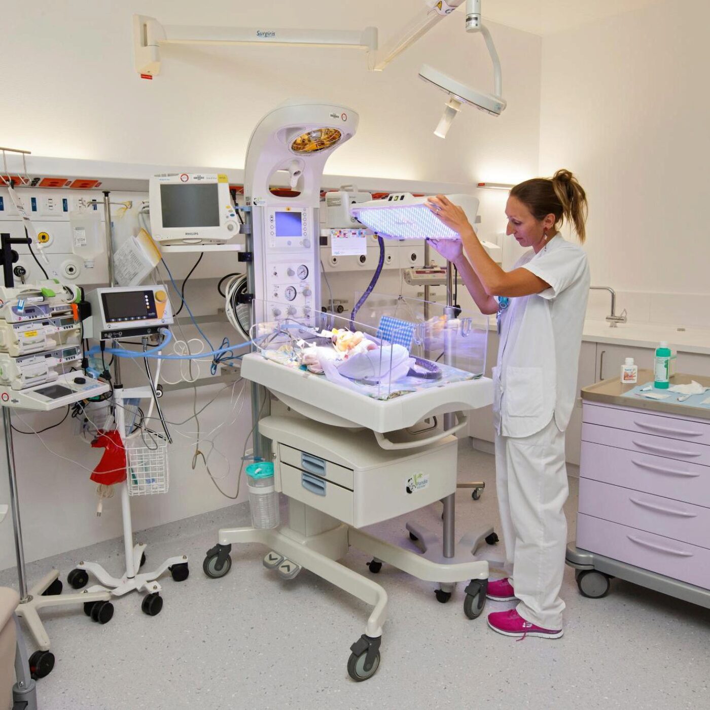 Les néatologues, un livre sur la vision et un très vieux menu