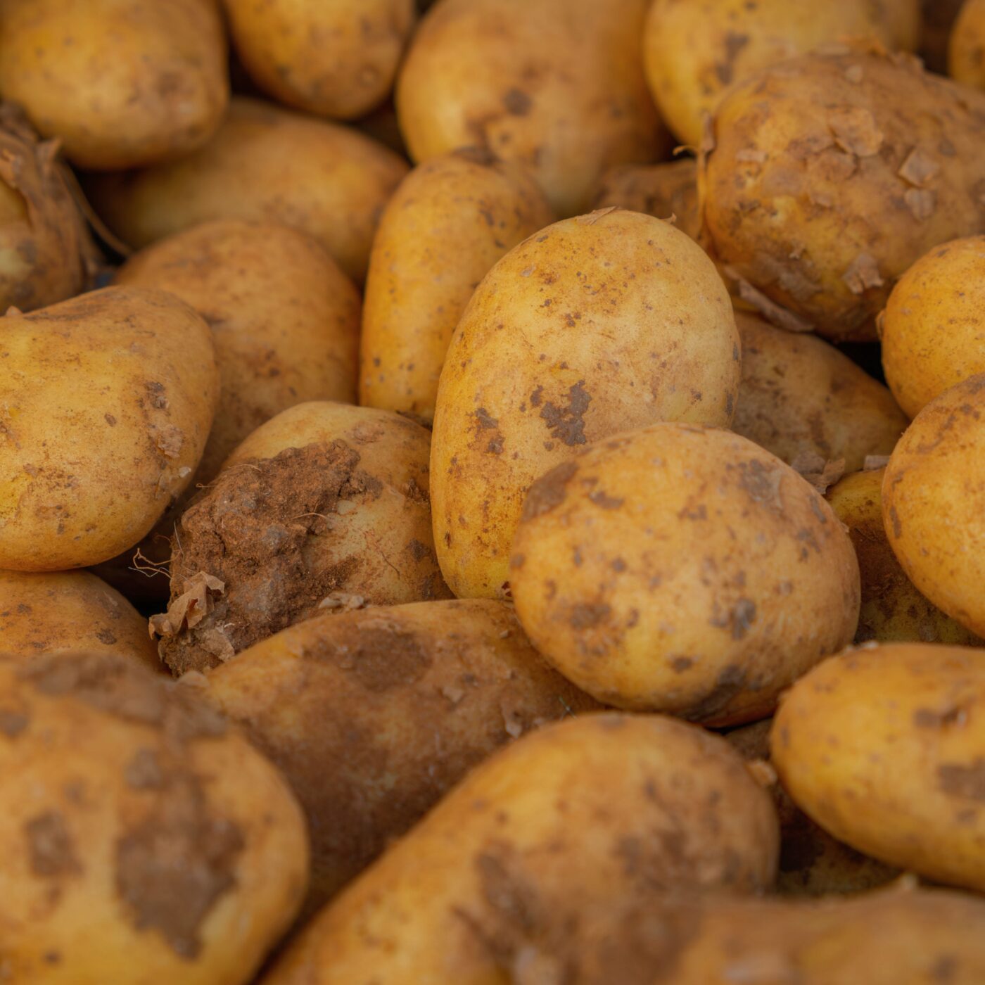 Matthieu Métraille, cultivateur de pommes de terre bio à Choisey episode artwork
