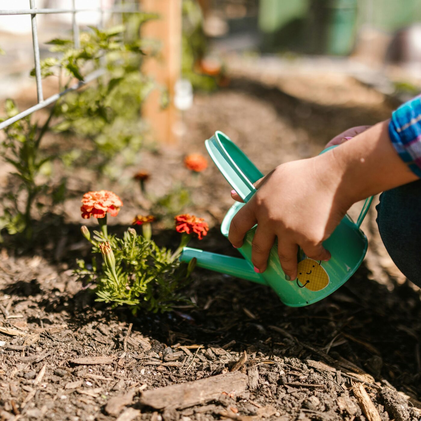 Prenez-en de la graine : des conseils jardinage écolos