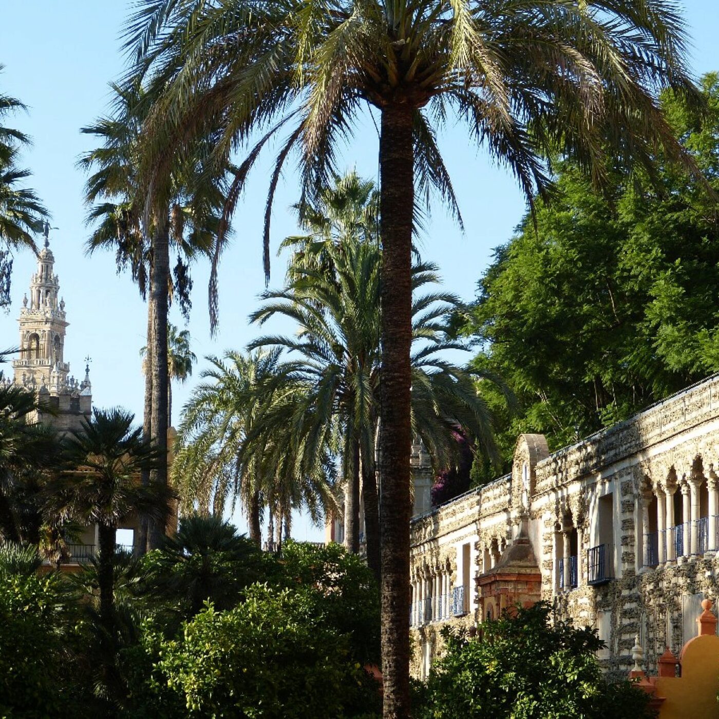 Passionnément Musique